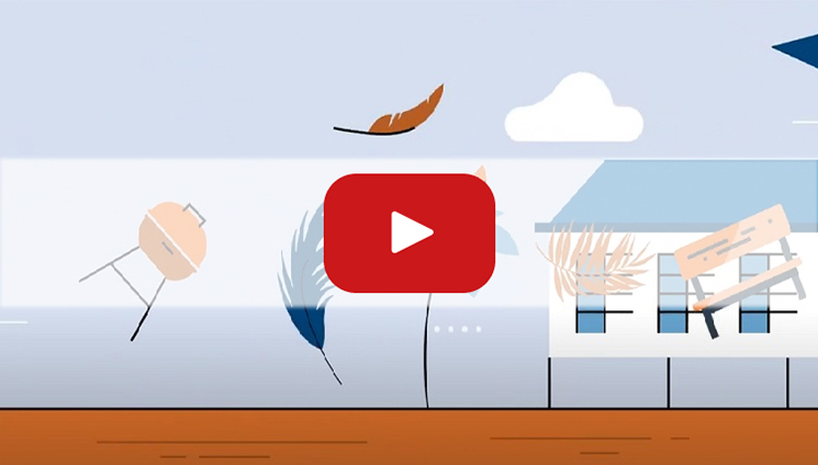 Video about Preparing your Home and Garden for Wet season