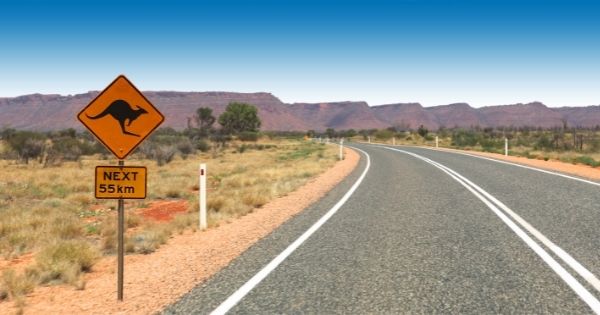 Kangaroo road sign on a rural highway